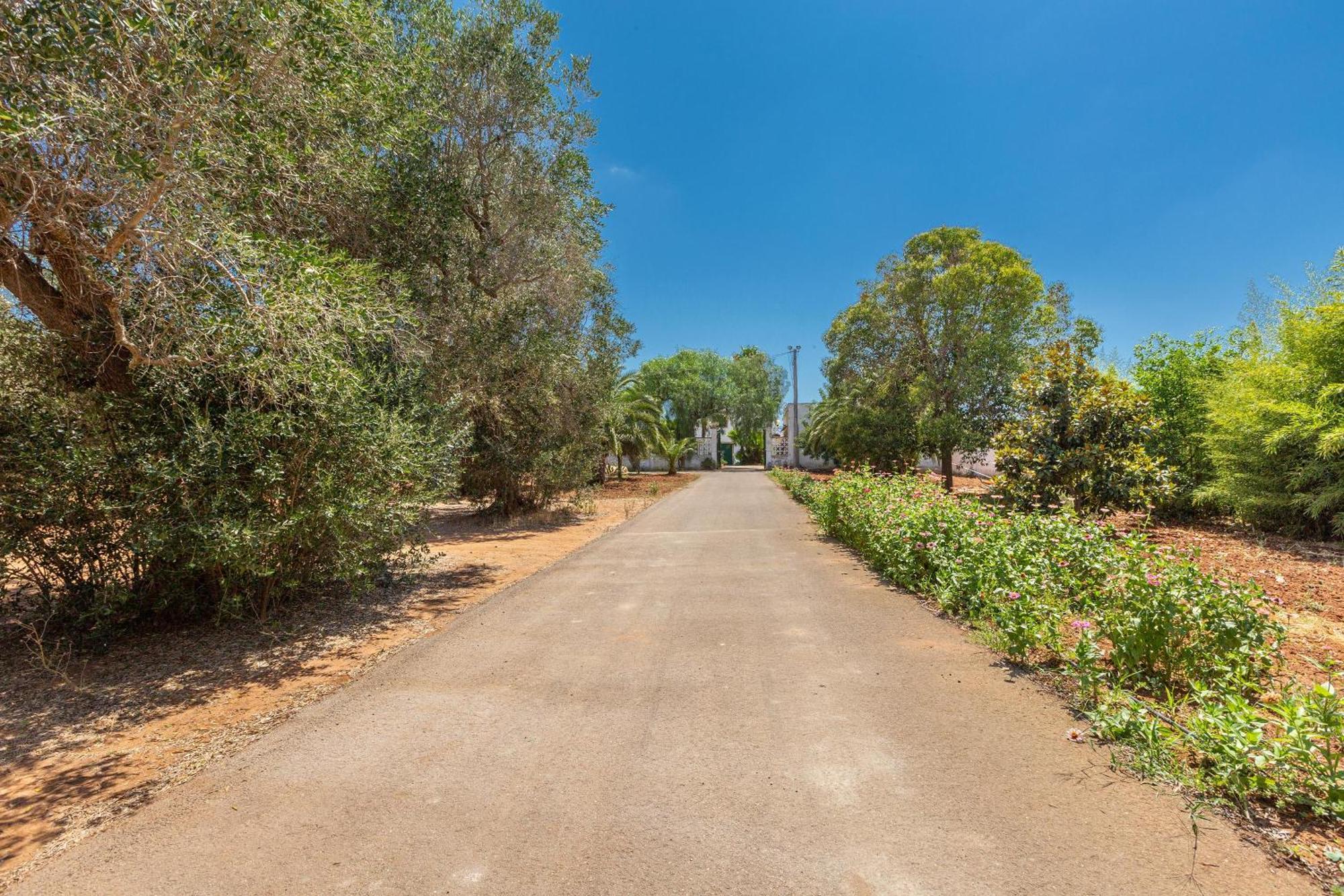 Masseria Sierri By Perle Di Puglia San Pancrazio Salentino Eksteriør billede